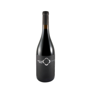 Quinta de Lemos - Dona Santana 2016